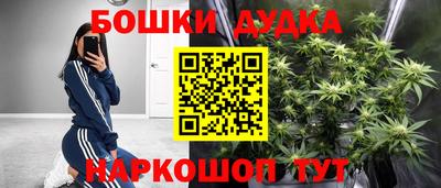 дмт Ставрополь